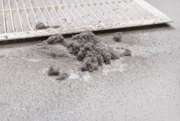 Best Emergency Air Duct Cleaning  in Center, TX