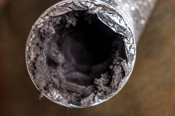 Best Emergency Air Duct Cleaning  in Center, TX